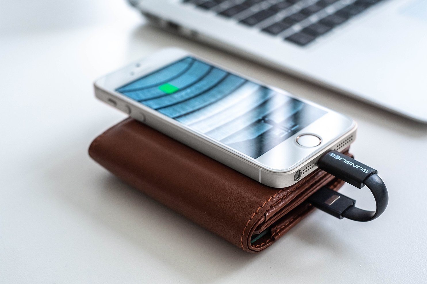 Volta: Powerful Elegance