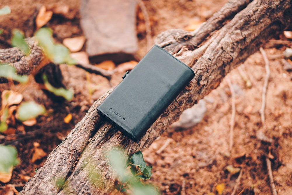 Solar charger with integrated battery Electron placed on a branch