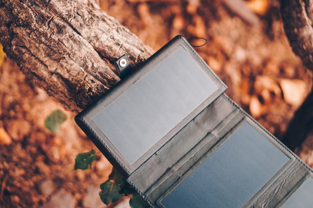 Electron in full solar charge in the forest