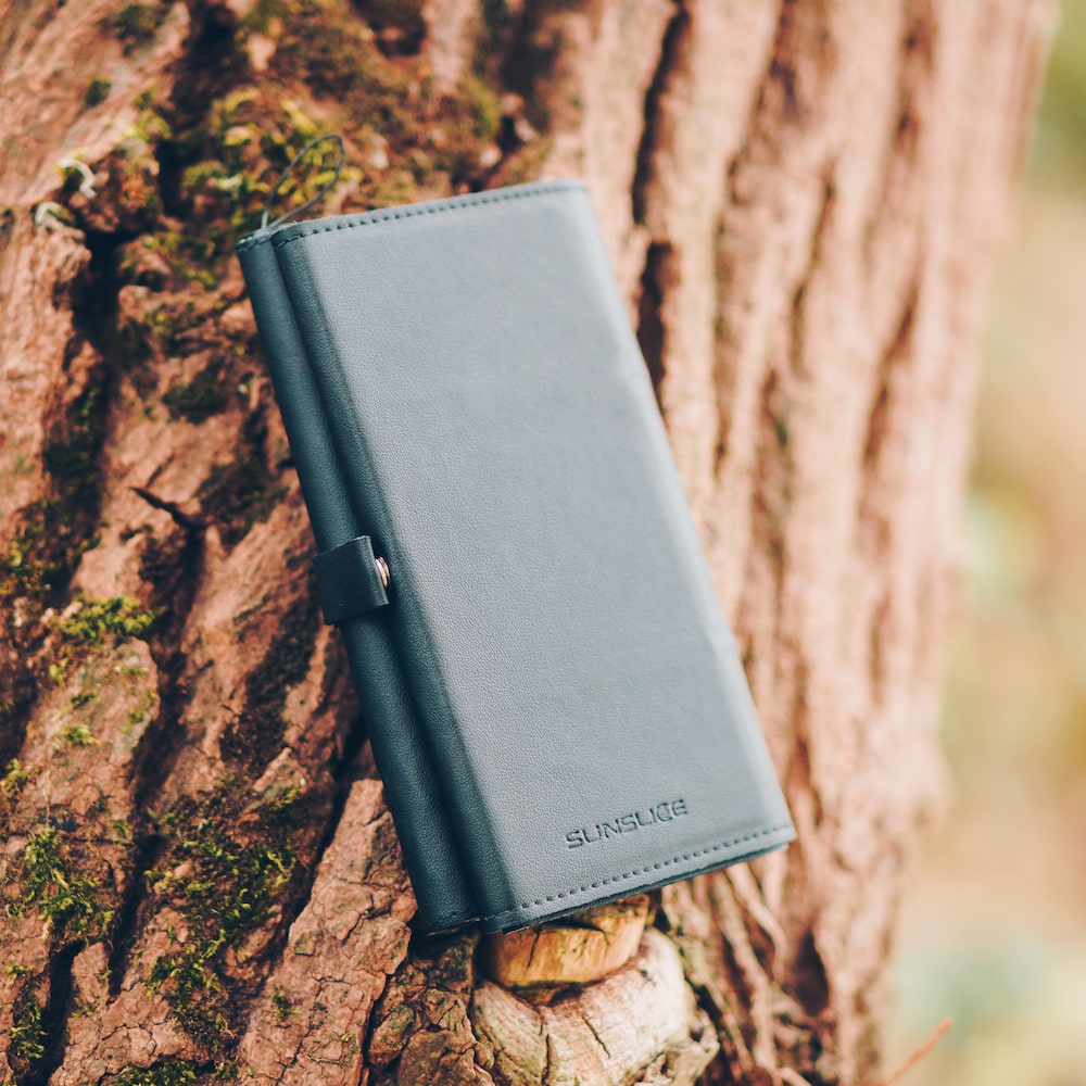 électron fermé sur une branche dans la forêt