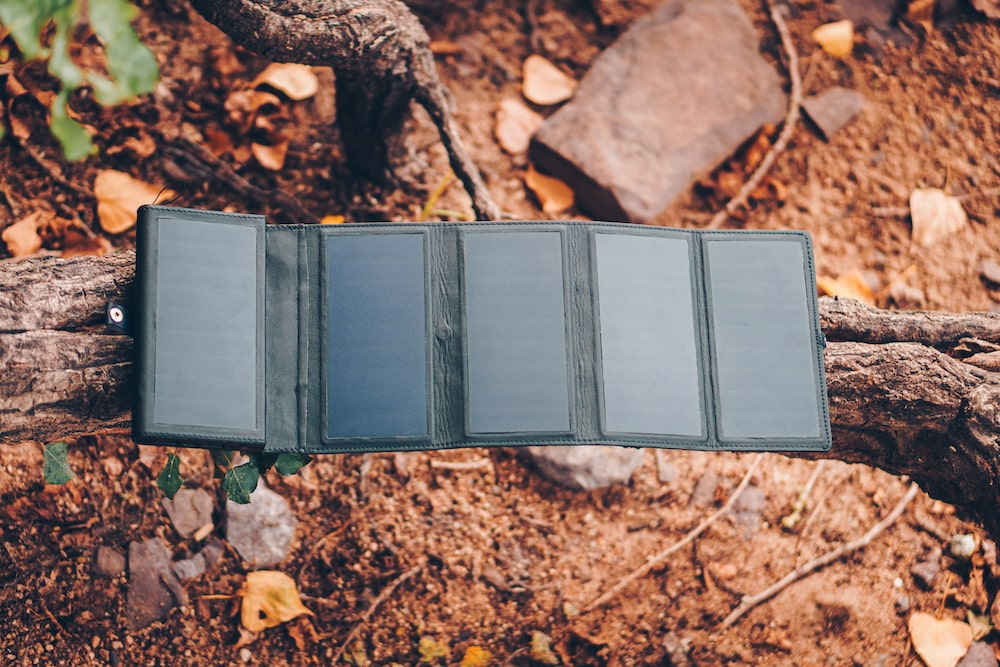 Opened electron on a branch for recharging in the sun