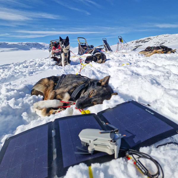 Panneau solaire portable dans la neige chargeant un drone en Alaska, avec un chien dormant à l'arrière-plan.
