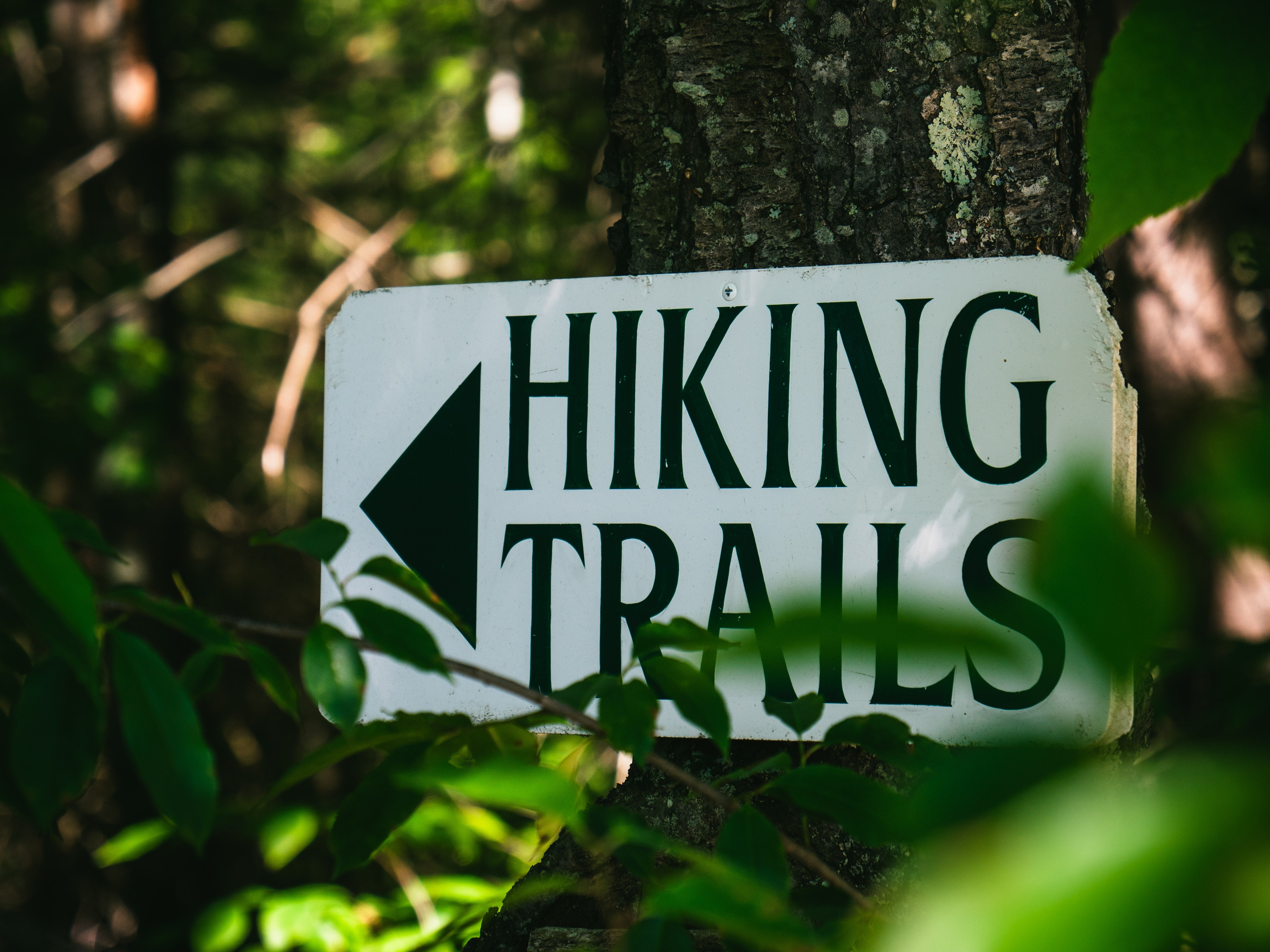 Guide to Capture Best Shoots on Hiking Trails- Checklist
