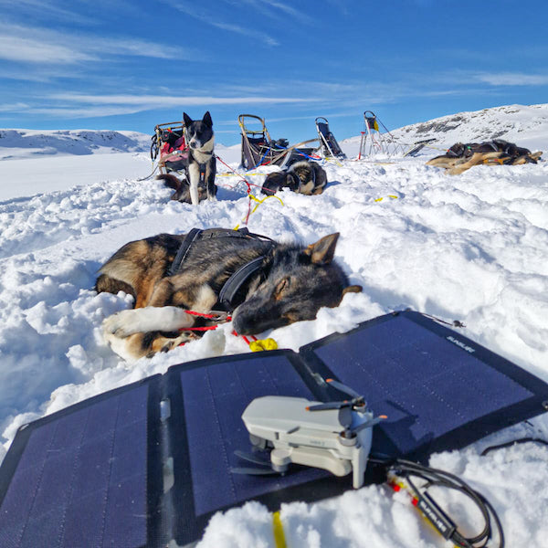 tragbares Solarpanel im Schnee, das eine Drohne in Alaska auflädt, mit einem schlafenden Hund im Hintergrund 